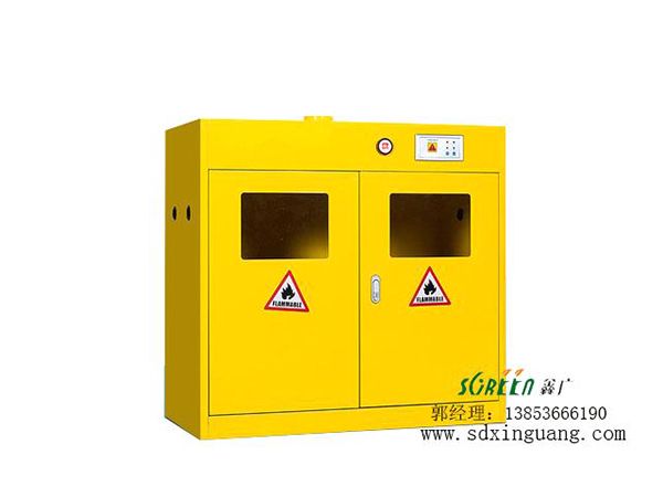 實(shí)驗(yàn)室氣瓶柜儲(chǔ)存柜安全柜.jpg