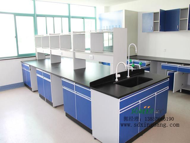 實(shí)驗(yàn)室家具-全鋼實(shí)驗(yàn)臺(tái)