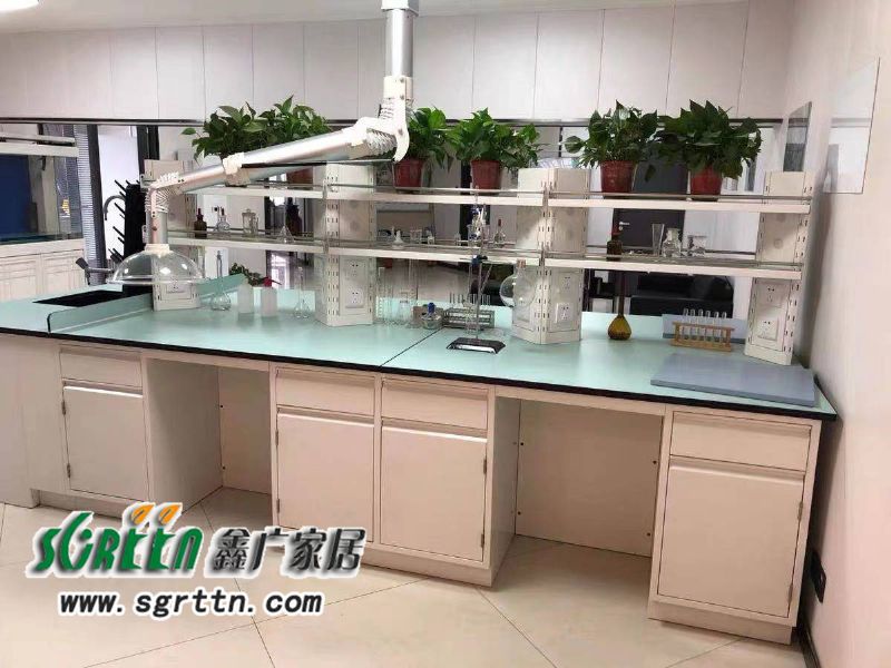 化驗(yàn)室pp操作臺(tái)，實(shí)驗(yàn)臺(tái)鋼木化學(xué)試驗(yàn)桌，工作臺(tái)學(xué)校通風(fēng)柜，全鋼試驗(yàn)臺(tái)