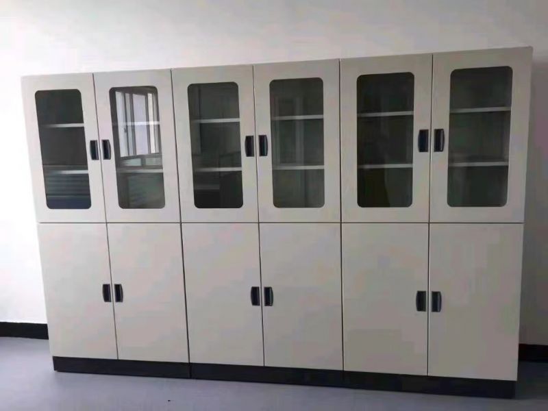  山東實(shí)驗(yàn)室器皿柜