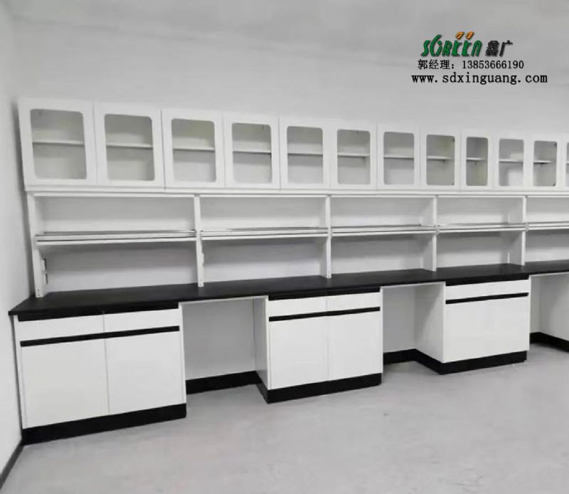 山東實(shí)驗(yàn)室鋼木工作臺理化板鋼木實(shí)驗(yàn)臺廠家