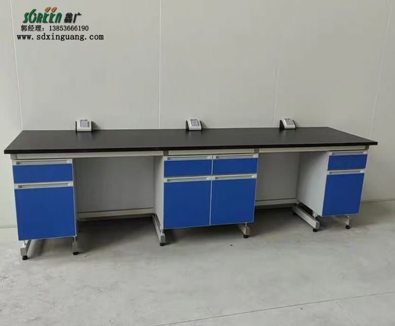 濰坊實(shí)驗(yàn)室家具實(shí)驗(yàn)室工作臺試驗(yàn)臺鋼木實(shí)驗(yàn)臺