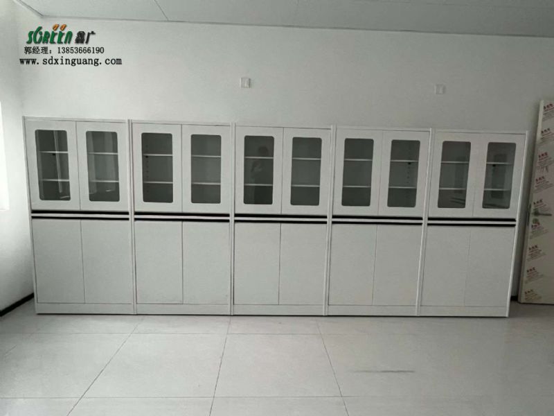 山東實(shí)驗(yàn)室家具定制全鋼器皿柜實(shí)驗(yàn)室試劑柜