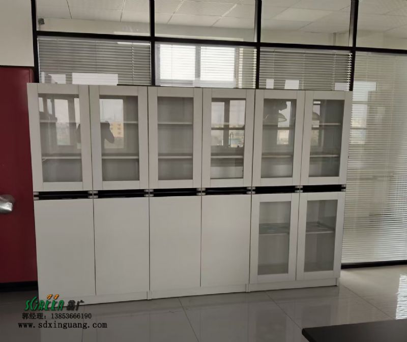 濰坊實(shí)驗(yàn)臺(tái)設(shè)備實(shí)驗(yàn)室器皿柜試劑柜生產(chǎn)廠家