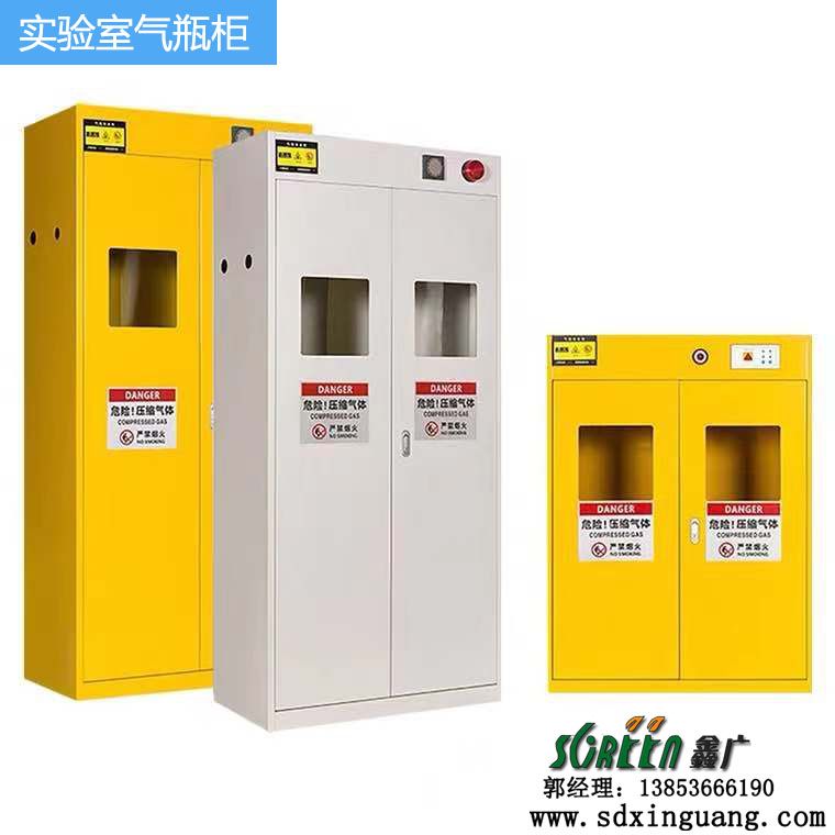 山東實(shí)驗(yàn)室設(shè)備,全鋼實(shí)驗(yàn)室氣瓶柜,實(shí)驗(yàn)臺(tái)廠家